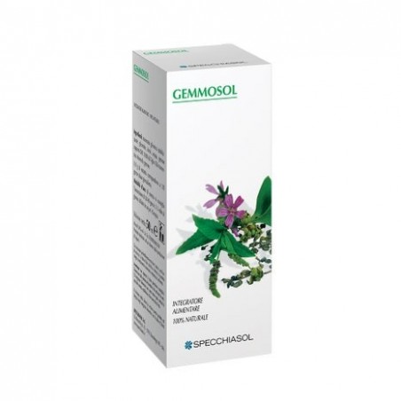 Specchiasol Gemmosol 24 Fico Integratore Per Funzioni Digestive 50 Ml Specchiasol - 1 Specchiasol Gemmosol 24 Fico Integratore Per Funzioni Digestive 50 Ml Specchiasol - 1