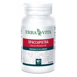 Erba Vita Group Spaccapietra 60 Capsule - Integratori per apparato uro-genitale e ginecologico - 978597565 - Erba Vita - € 8,50