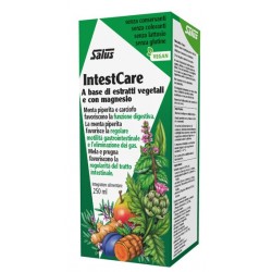 Salus Haus Gmbh & Co Kg Intestcare 250 Ml Salus Haus Gmbh & Co Kg - 1