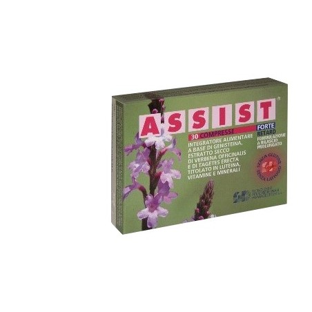 Gd Assist Forte Retard 30 Compresse Gd - 1 Gd Assist Forte Retard 30 Compresse Gd - 1