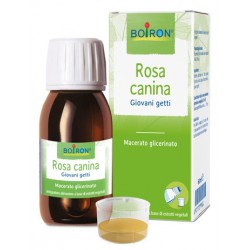 Boiron Rosa Canina Macerato Glicerico 60 Ml Int - Rimedi vari - 977709981 - Boiron - € 11,19