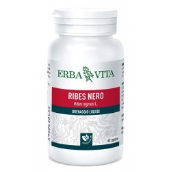 Erba Vita Group Ribes Nero 60 Capsule 450 Mg - Circolazione e pressione sanguigna - 902658653 - Erba Vita - € 12,50