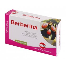 Kos Berberina Da Berberis Vulgaris Estratto Secco 60 Compresse Kos - 1