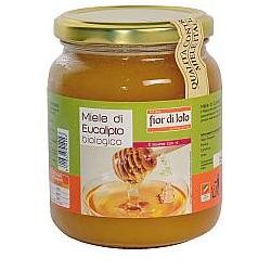 Biotobio Miele Di Eucalipto Bio 500 G BiotoBio - 1