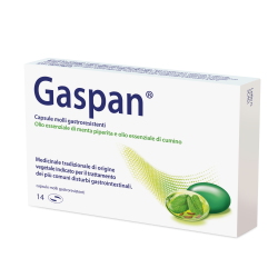 Gaspan Disturbi Gastrointestinali 14 Capsule Gastroresistenti - Home - 047478019 - Dr. Willmar Schwabe Gmbh&co. Kg - € 14,43
