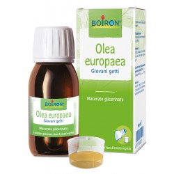 Boiron Olea Europaea Macerato Glicerico 60 Ml Int - Rimedi vari - 977701109 - Boiron - € 11,70