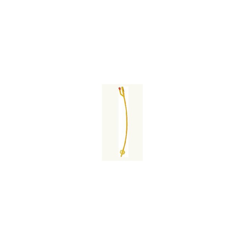 P. B. Pharma Catetere Foley In Lattice Ch16x1 P. B. Pharma - 1