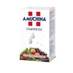 Angelini Amuchina Compresse 1 G 24 Pezzi - Casa e ambiente - 935569259 - Amuchina - € 8,62