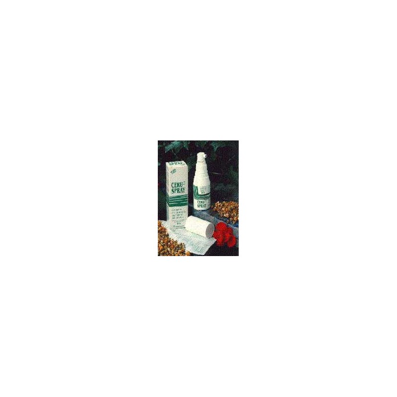 Gestipharm Group Emollienti Cerume Ceru Spray 30ml - Prodotti per la cura e igiene delle orecchie - 908171046 - Gestipharm Gr...
