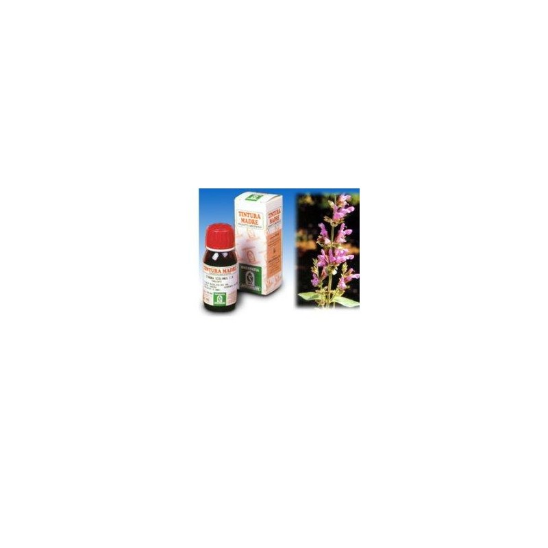Specchiasol Salvia 25 50ml Tm - Tinture madri, macerati glicerici e gocce omeopatiche - 909309585 - Specchiasol - € 9,52