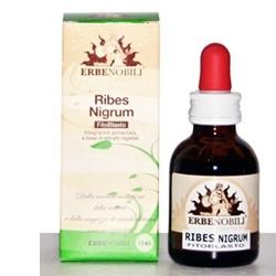 Erbenobili Fitoblasto Ribes Nigrum 50 Ml - Erboristeria e fitoterapia - 913516249 - Erbenobili - € 10,98