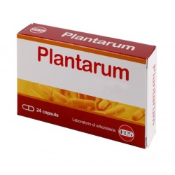 Kos Plantarum 10 Miliardi 24 Capsule - Integratori di fermenti lattici - 982544645 - Kos - € 9,74