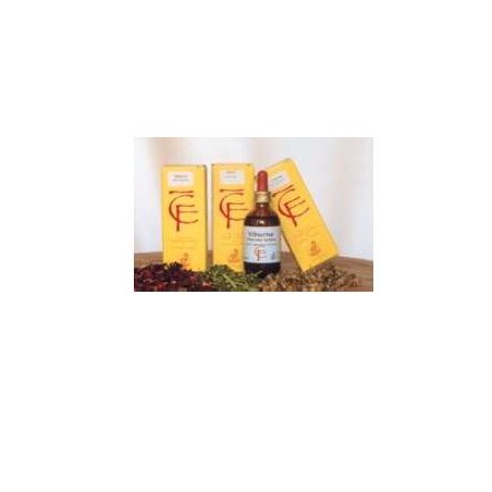 Cento Fiori Ribes Gemme Macerato Glicerico 50 Ml Cento Fiori - 1 Cento Fiori Ribes Gemme Macerato Glicerico 50 Ml Cento Fiori - 1