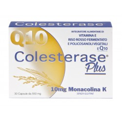 Wp Corporate Colesterase Plus 30 Capsule - Integratori per il cuore e colesterolo - 925517094 - Wp Corporate - € 14,36