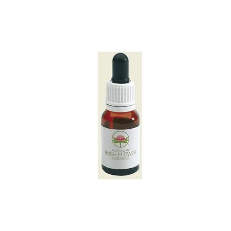 Bush Biotherapies Pty Five Corners Australian 15 Ml Gt - Rimedi vari - 900627593 - Bush Biotherapies Pty - € 21,18