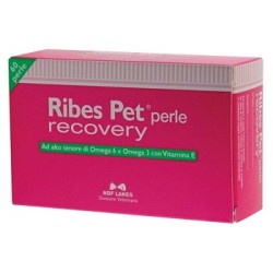N. B. F. Lanes Ribes Pet Recovery Blister 60 Perle - Veterinaria - 903596765 - N. B. F. Lanes - € 26,74