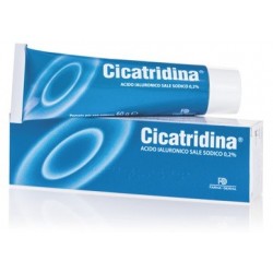 Cicatridina Pomata Ad Azione Cicatrizzante Per Lesioni Della Cute 60 G - Medicazioni - 934737394 - Cicatridina - € 15,89