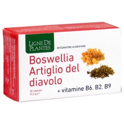 Natura Service Boswellia Artiglio Diavolo Vitamine B2 B6 B9 60 Capsule - Integratori per dolori e infiammazioni - 942875903 -...