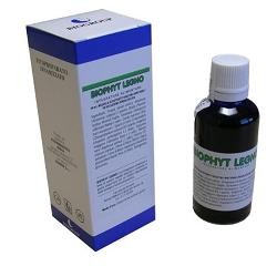 Biogroup Societa' Benefit Biophyt Legno 50 Ml Soluzione Idroalcolica Biogroup Societa' Benefit - 1