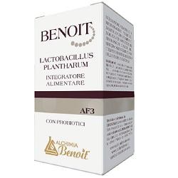 Alchimia Benoit Benoit Lactobacillus Plantharum 30 Capsule - Fermenti lattici - 924295239 - Alchimia Benoit - € 18,35