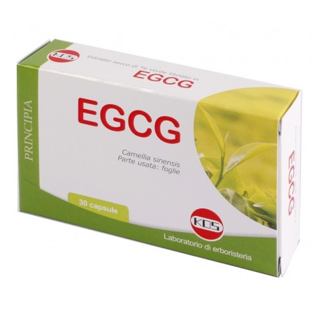 Kos Egcg The Verde 30 Capsule Nuova Formula Kos - 1 Kos Egcg The Verde 30 Capsule Nuova Formula Kos - 1