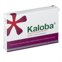 Kaloba Radice di Pelargonio Per Alleviare il Raffreddore 21 compresse - Raffreddore e influenza - 038135012 - Dr. Willmar Sch...