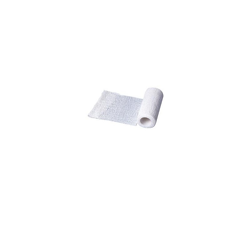 Phyto Performance Italia Benda Elastica Zincabend Con Pasta All'ossido Di Zinco Cm10x5mt 1 Pezzo Phyto Performance Italia - 1
