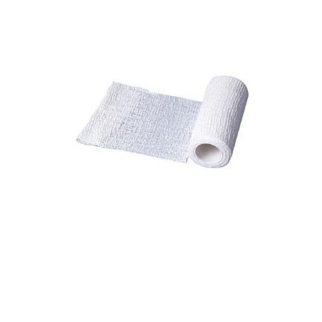 Phyto Performance Italia Benda Elastica Zincabend Con Pasta All'ossido Di Zinco Cm10x5mt 1 Pezzo Phyto Performance Italia - 1 Phyto Performance Italia Benda Elastica Zincabend Con Pasta All'ossido Di Zinco Cm10x5mt 1 Pezzo Phyto Performance Italia - 1