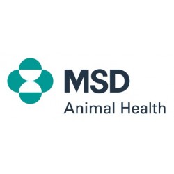 Msd Animal Health Caninsulin Vet Pen Aghi Unifine 1x100 - Rimedi vari - 931772444 - Msd Animal Health - € 48,25