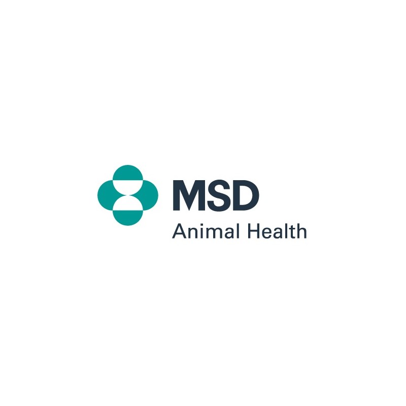 Msd Animal Health Caninsulin Vet Pen Aghi Unifine 1x100 - Rimedi vari - 931772444 - Msd Animal Health - € 48,03