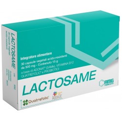 Amg Farmaceutici Lactosame 30 Capsule - Integratori per concentrazione e memoria - 982463844 - Amg Farmaceutici - € 22,92