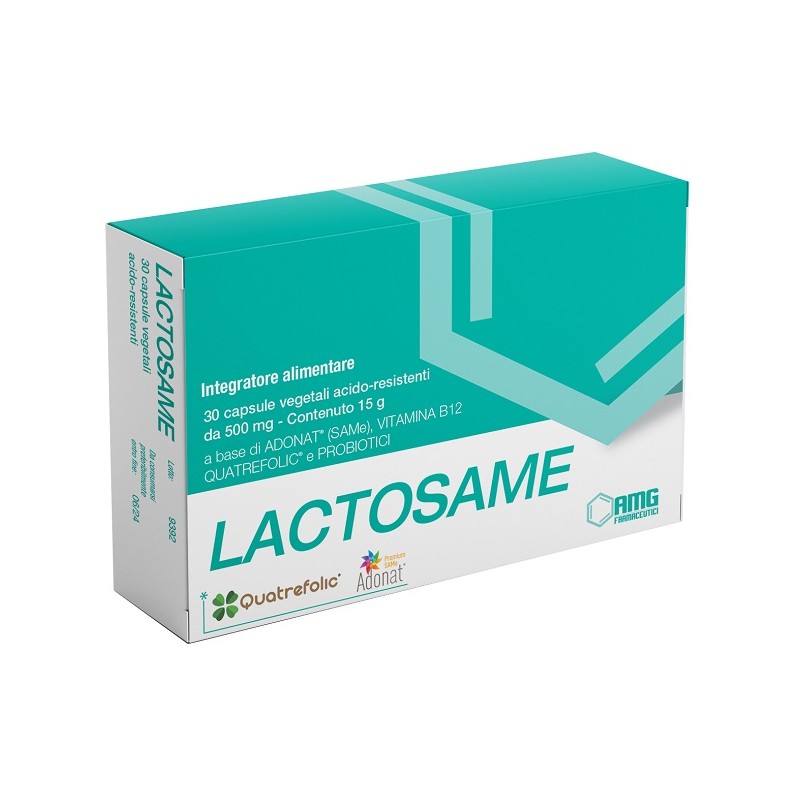 Amg Farmaceutici Lactosame 30 Capsule - Integratori per concentrazione e memoria - 982463844 - Amg Farmaceutici - € 22,92