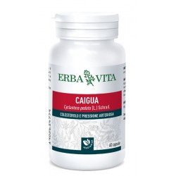 Erba Vita Group Caigua 60 Capsule 400 Mg - Circolazione e pressione sanguigna - 902654779 - Erba Vita - € 13,34