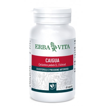 Erba Vita Group Caigua 60 Capsule 400 Mg - Circolazione e pressione sanguigna - 902654779 - Erba Vita - € 12,30