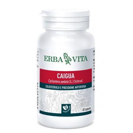 Erba Vita Group Caigua 60 Capsule 400 Mg Erba Vita - 1 Erba Vita Group Caigua 60 Capsule 400 Mg Erba Vita - 1