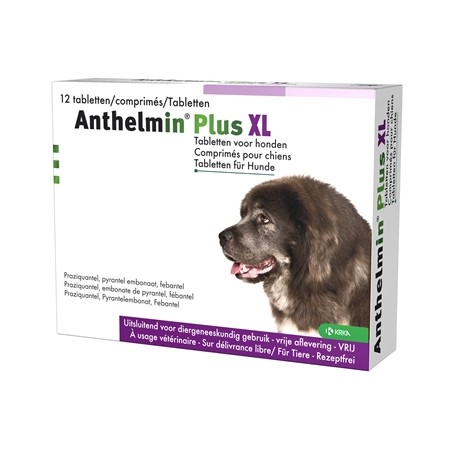 Anthelmin Plus Cani XL - Antiparassitario 2 Compresse - Prodotti per cani - 104844016 - Anthelmin - € 16,26