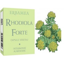 Erbamea Rhodiola Forte 24 Capsule - Integratori per concentrazione e memoria - 970266666 - Erbamea - € 9,92