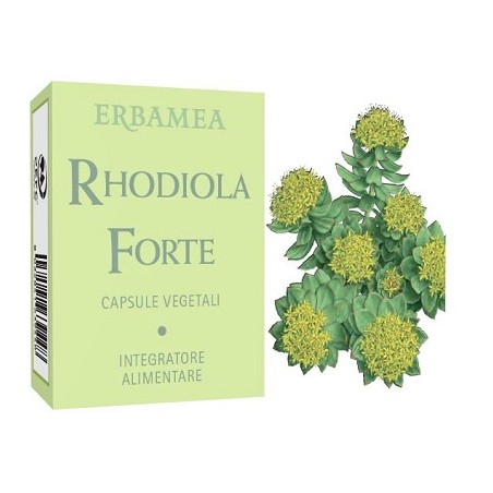 Erbamea Rhodiola Forte 24 Capsule - Integratori per concentrazione e memoria - 970266666 - Erbamea - € 9,92
