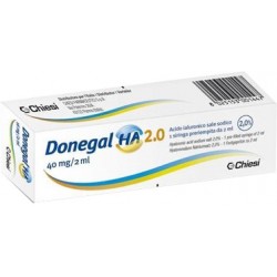 Chiesi Farmaceutici Siringa Intra-articolare Donegal Ha 2.0 Acido Ialuronico 40 Mg 2 Ml - Rimedi vari - 927116285 - Chiesi Fa...