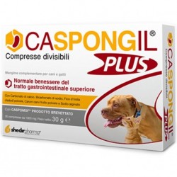 CASPONGIL PLUS 30 COMPRESSE - Veterinaria - 945100574 -  - € 19,84