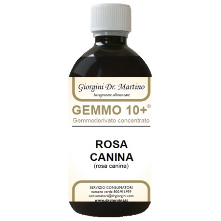 Dr. Giorgini Ser-vis Gemmo 10+ Rosa Canina Liquido Analcolico 500 Ml - IMPORT-PF - 924298060 - Dr. Giorgini - € 40,56