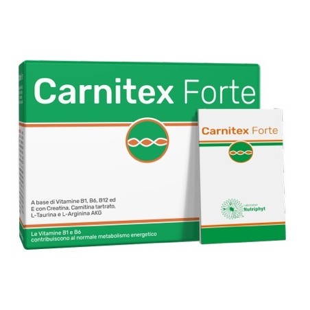 Anvest Health Carnitex Forte 14 Bustine - Integratori per concentrazione e memoria - 986737866 - Anvest Health - € 18,44