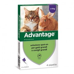 Advantage Soluzione Spot-On Gatti e Conigli 4 Pipette - Prodotti per gatti - 104373030 -  - € 18,68