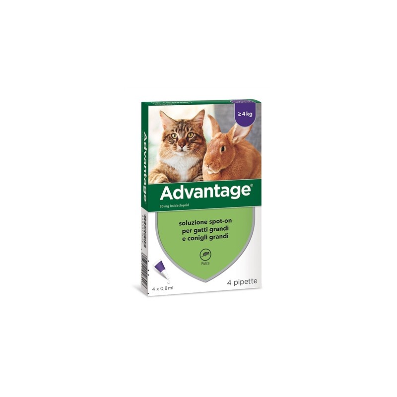 Advantage Soluzione Spot-On Gatti e Conigli 4 Pipette - Prodotti per gatti - 104373030 -  - € 19,04