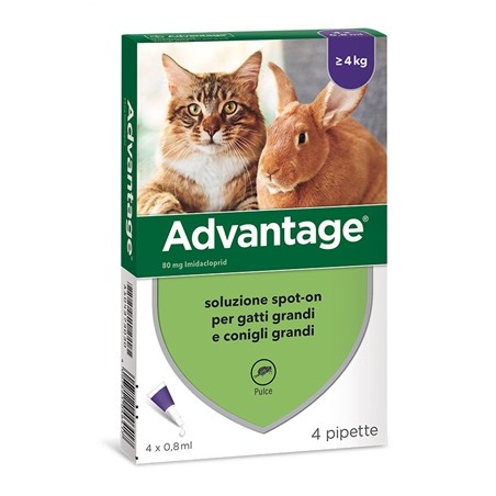 Advantage Soluzione Spot-On Gatti e Conigli 4 Pipette - Prodotti per gatti - 104373030 -  - € 18,68