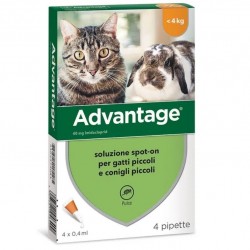 ADVANTAGE*spot-on soluz 4 pipette 0,4 ml 40 mg gatti e conigli piccoli - Prodotti per gatti - 104373081 -  - € 19,04