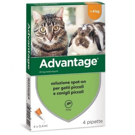 ADVANTAGE*spot-on soluz 4 pipette 0,4 ml 40 mg gatti e conigli piccoli - Prodotti per gatti - 104373081 -  - € 19,01