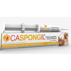 CASPONGIL PASTA 30 G - Veterinaria - 945100586 -  - € 18,89