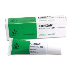 Citrizan Gel per Abrasioni ed Ustioni 50 G - Farmaci dermatologici - 028662017 - Idi Farmaceutici - € 12,62