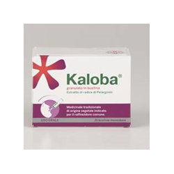 Dr. Willmar Schwabe Gmbh&co. Kg Kaloba Soluzione Orale Granulari 21bust 800mg - Raffreddore e influenza - 038135087 - Dr. Wil...